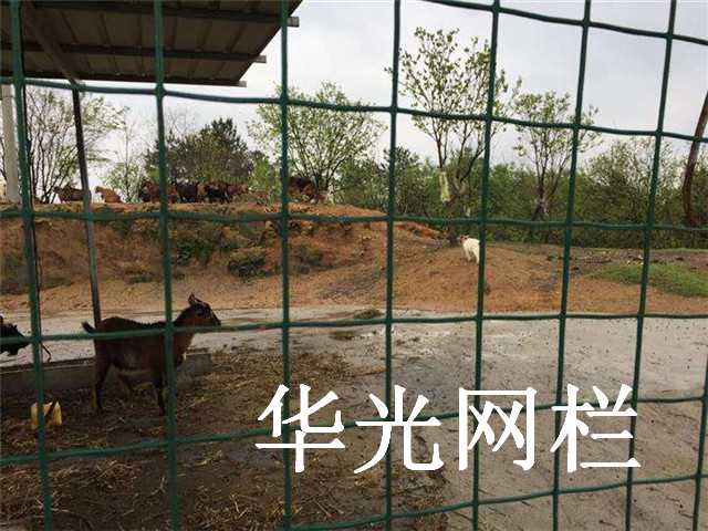 养殖围栏网图片6